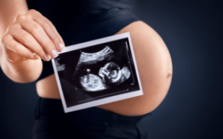 Токсоплазмоз:как сделать анализ крови на токсоплазмоз при беременности