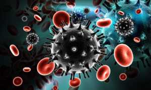Отличие вируса ВИЧ-1от второго вида ВИЧ-2, какие симптомы появляются