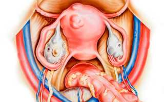 Симптомы, которыми проявляют себя миома матки и киста яичника